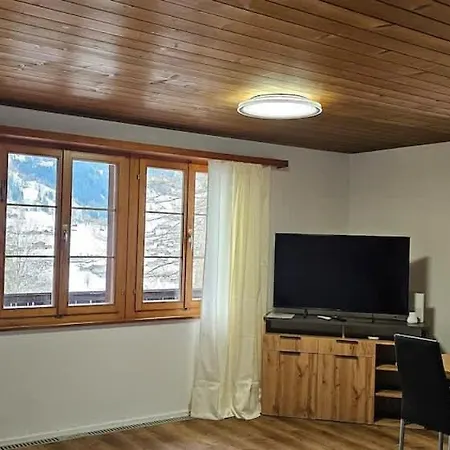 Marco - Aare Jungfrau Ag 格林德瓦